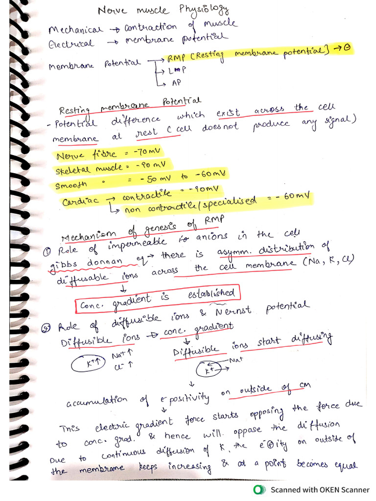 NMP | PDF