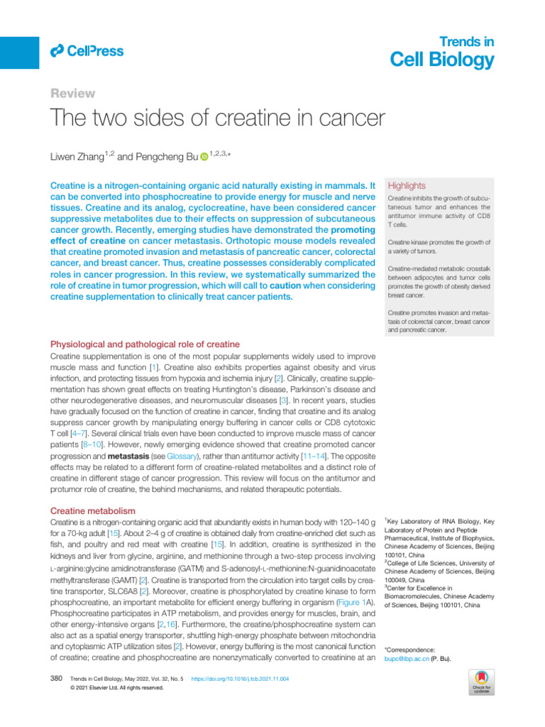 The Two Sides of Creatine in Cancer | PDF | Metastasis | Cancer