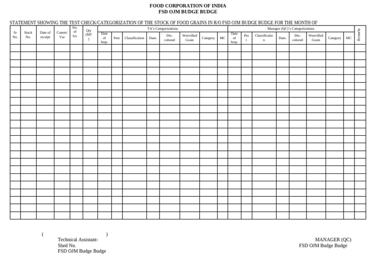 MIR Test Check Format 21 Rows | PDF