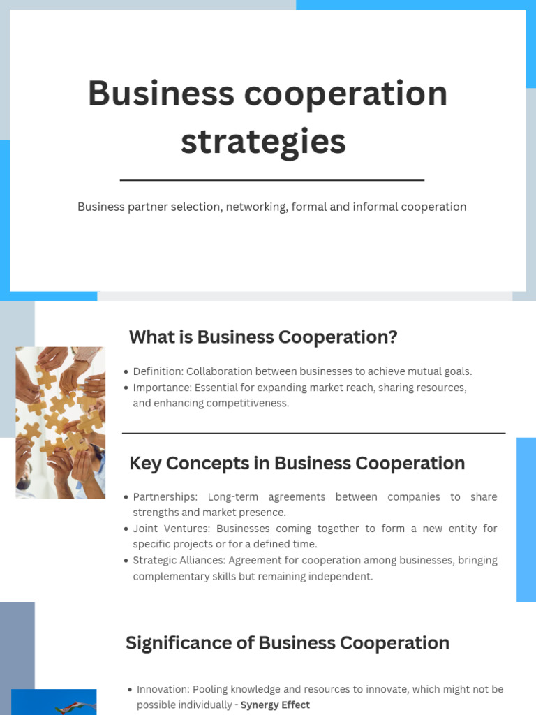 Business Cooperation Strategies - Business Partner Selection ...
