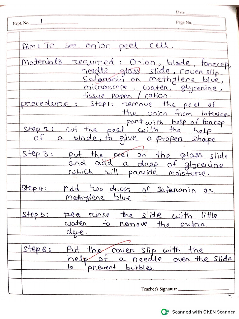 9 Practicals | PDF