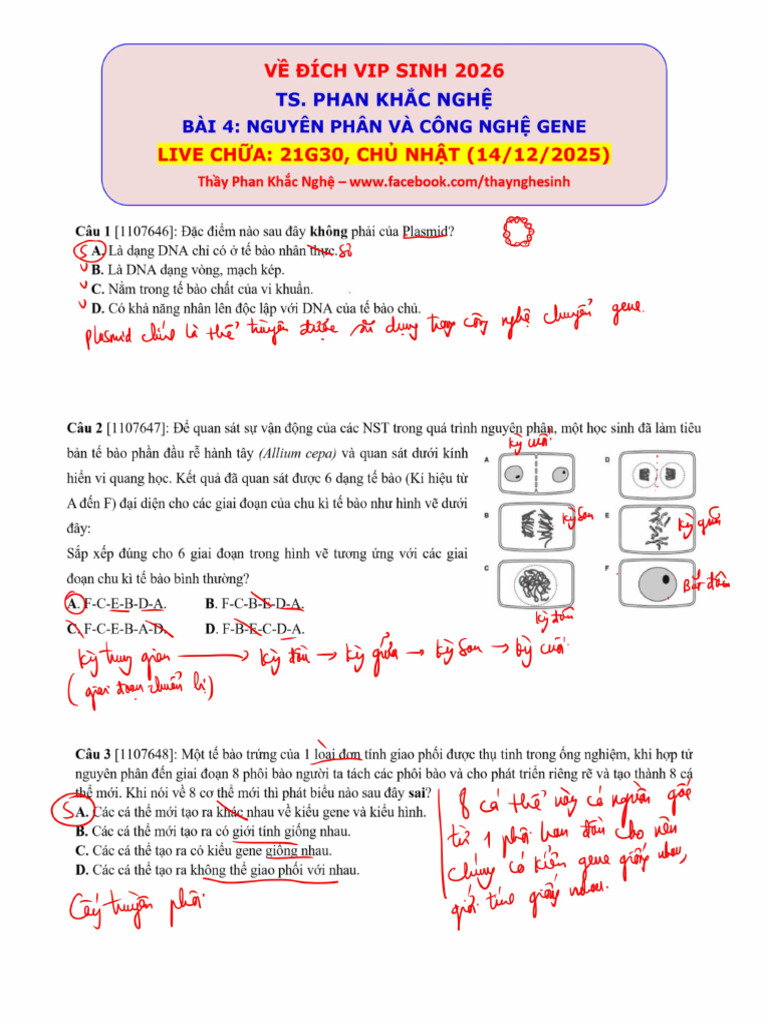 4 VT | PDF