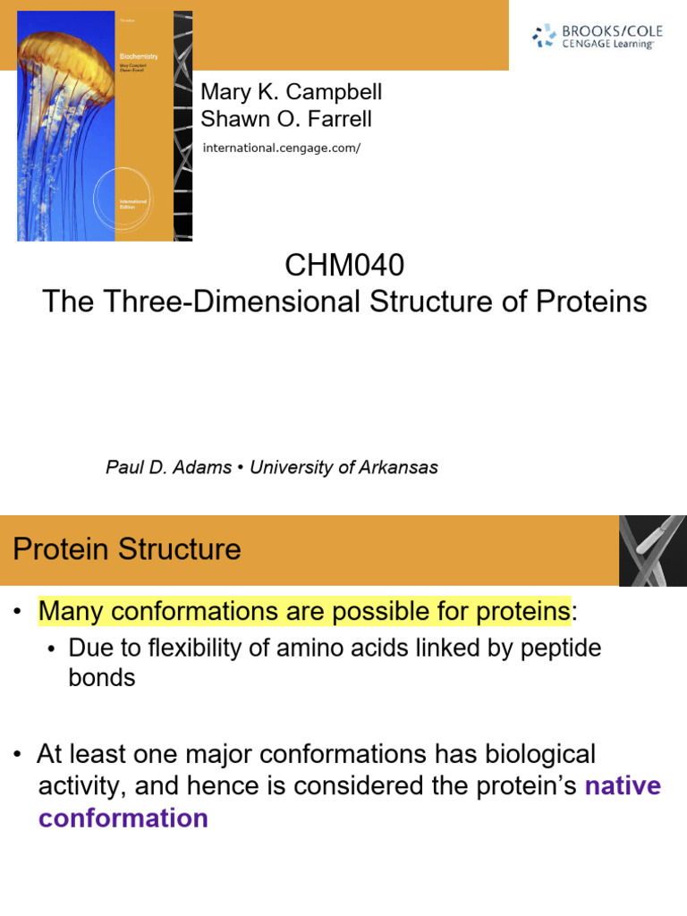 The Three Dimensional Structure of Proteins | PDF | Protein Structure ...