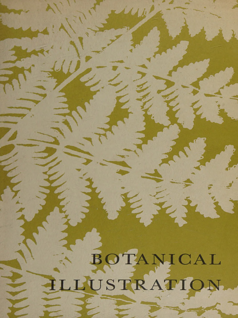 Botanical Illustration | PDF | Botany
