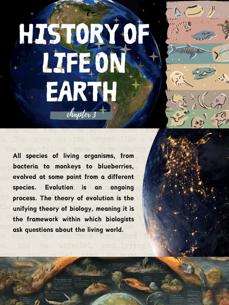History of Life on Earth (G-1).PDF | PDF | Earth Sciences | Geology