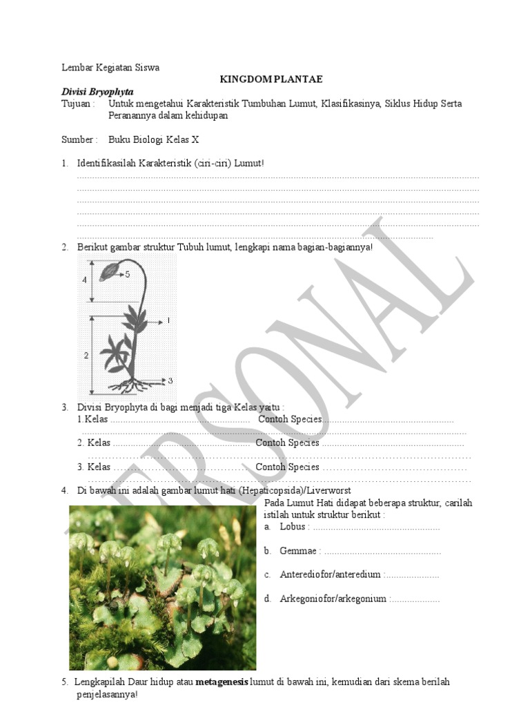 Lembar Kegiatan Siswa Lumut