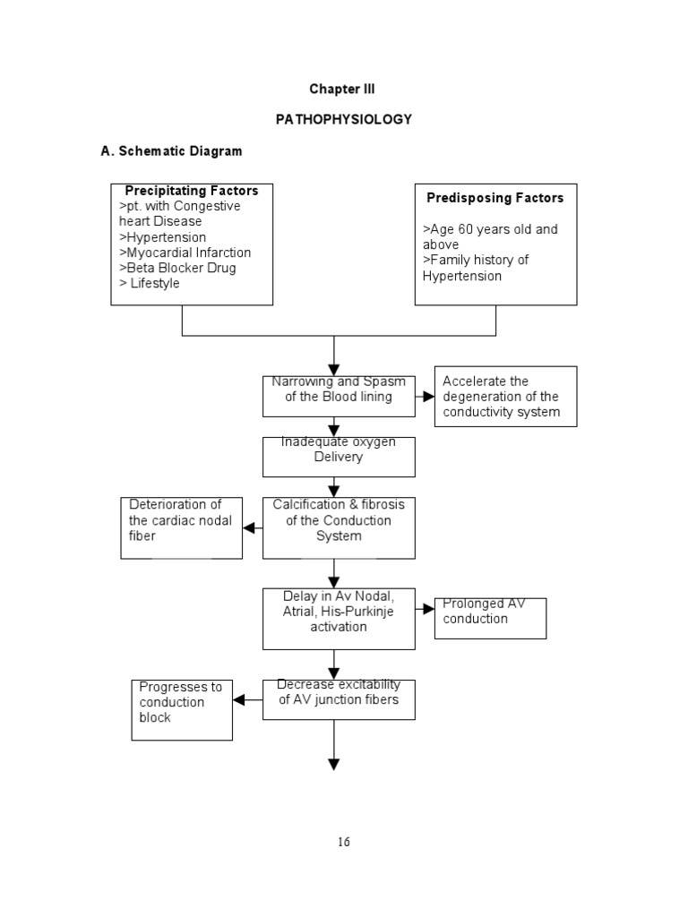 1111chapter III Pathophysiology | PDF | Heart | Internal Medicine