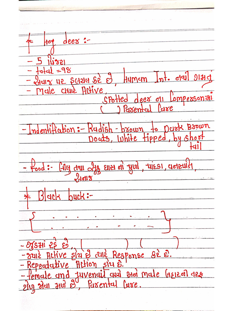 Animal Notes | PDF