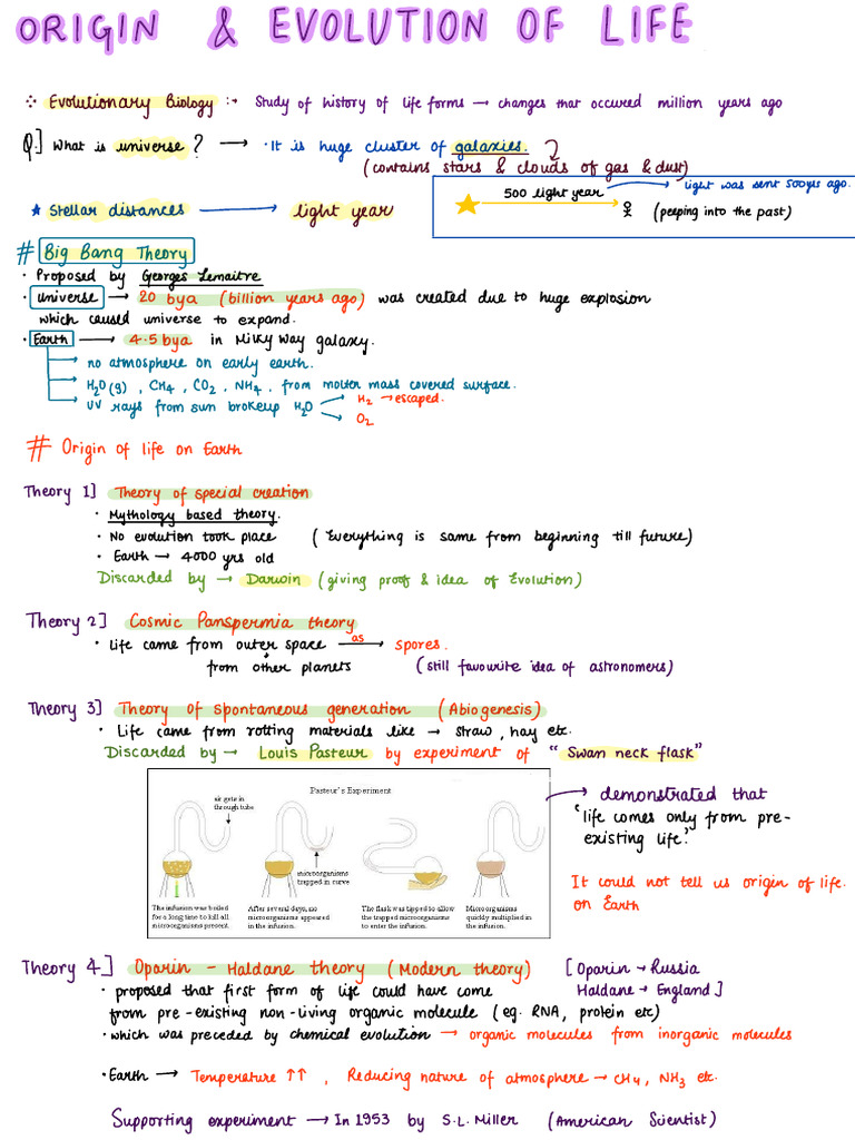 Class 12 Evolution Notes | PDF