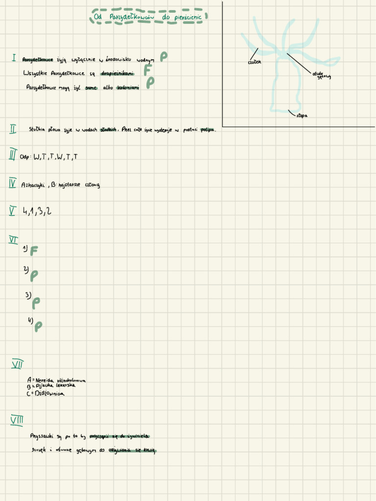 Good Notes | PDF