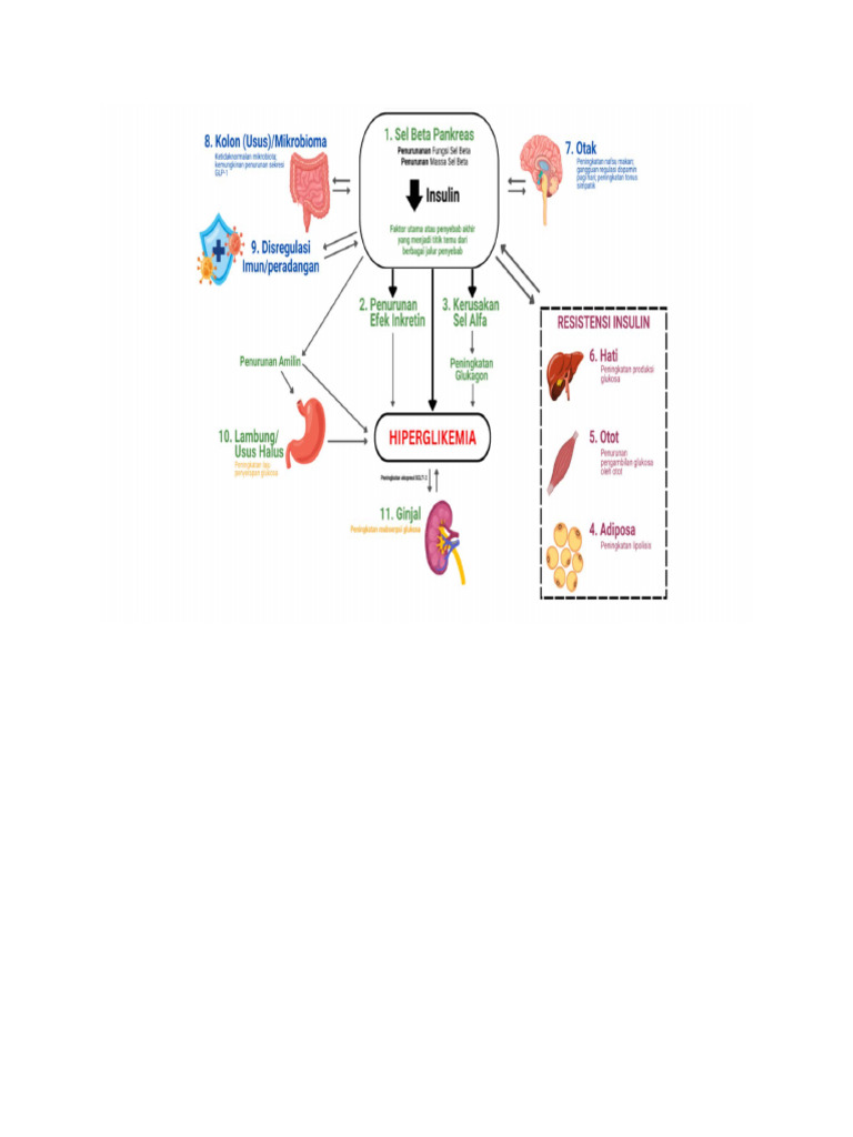 Patogenesis Dm | PDF