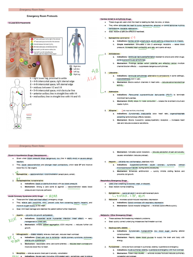 ER Notes - 202601192132 - 42843 | PDF | Myocardial Infarction | Heart