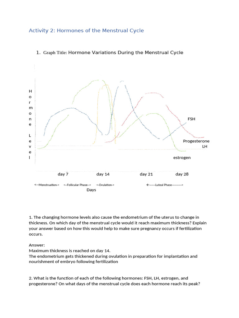 Activity 2 | PDF | Menstrual Cycle | Luteinizing Hormone