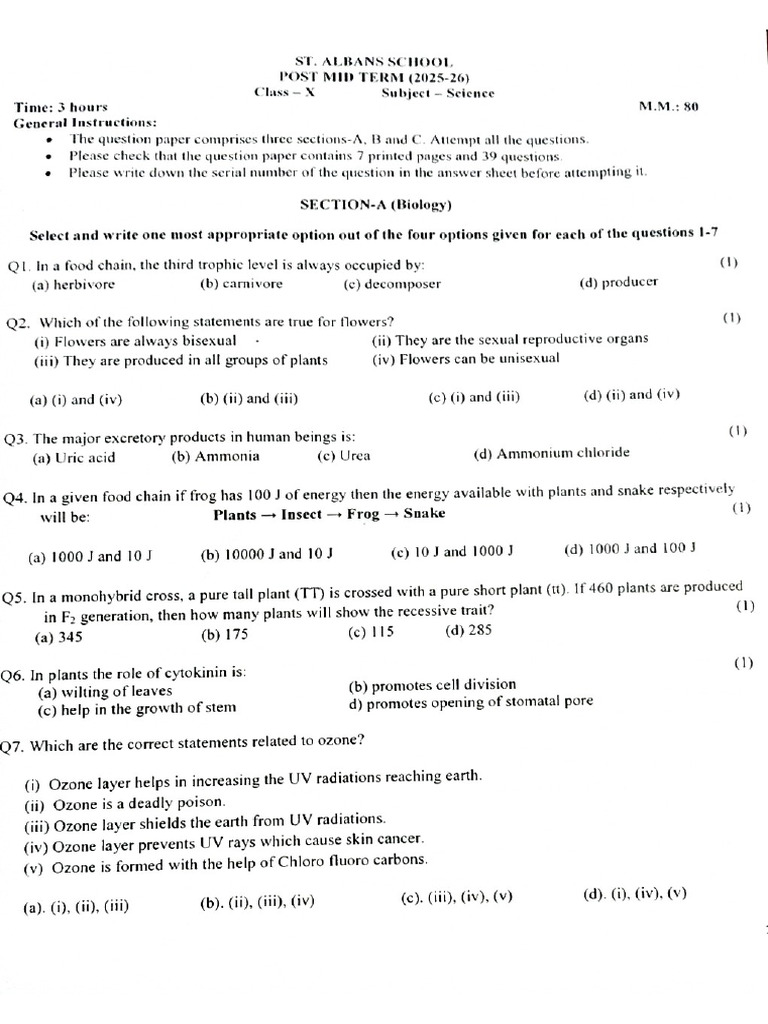 Science Test- Upd | PDF