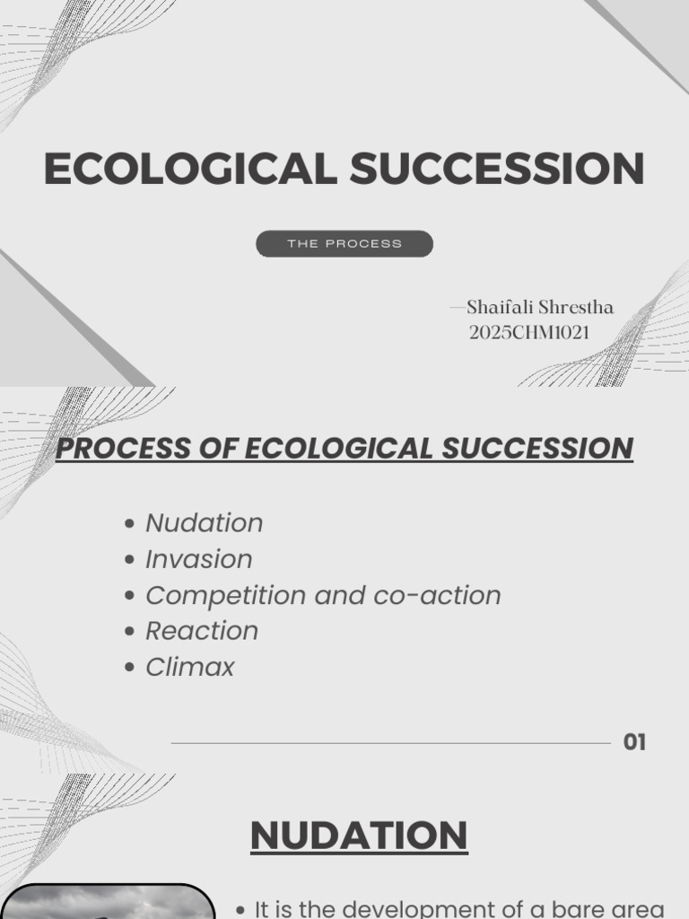 Ecological Succession PDF | PDF