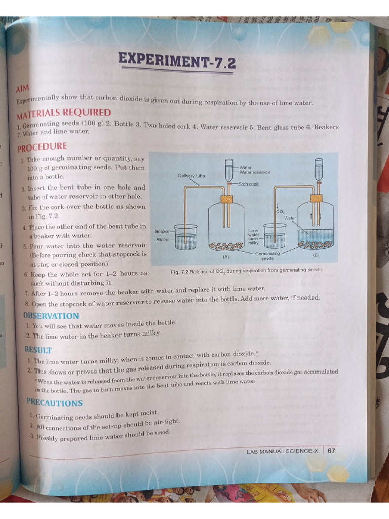exp 4 bio | PDF