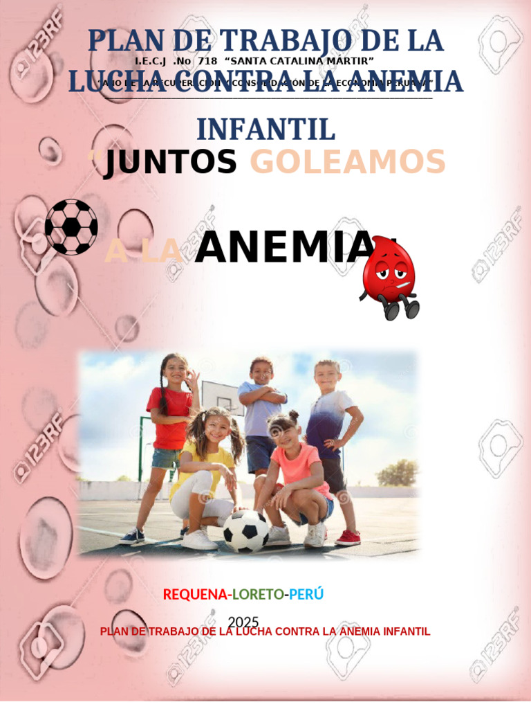 Plan de Trabajo de La Lucha Contra La Anemia | PDF | Perú