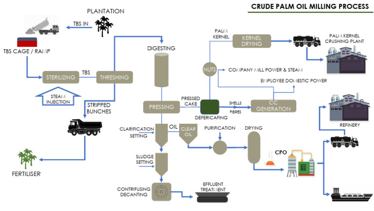 Cpo Process | PDF