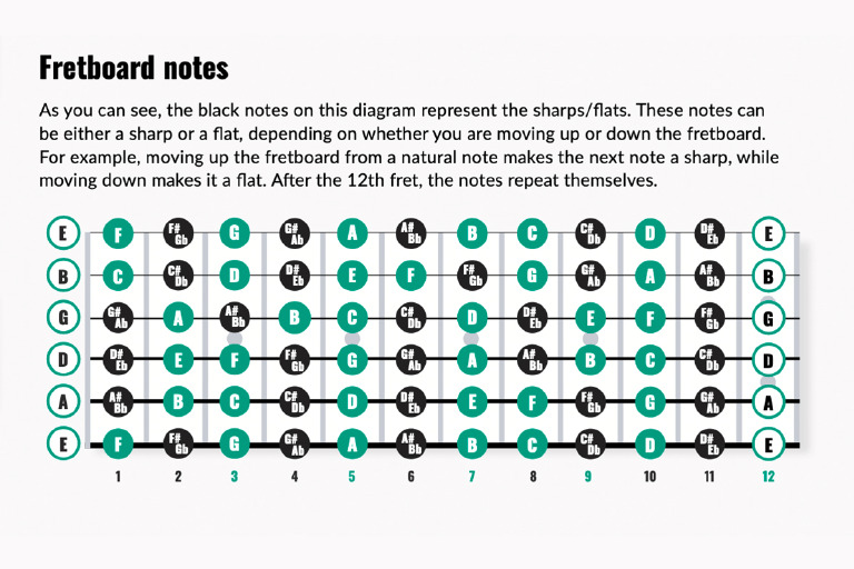 Guitar Fretboard Notes Chart | PDF