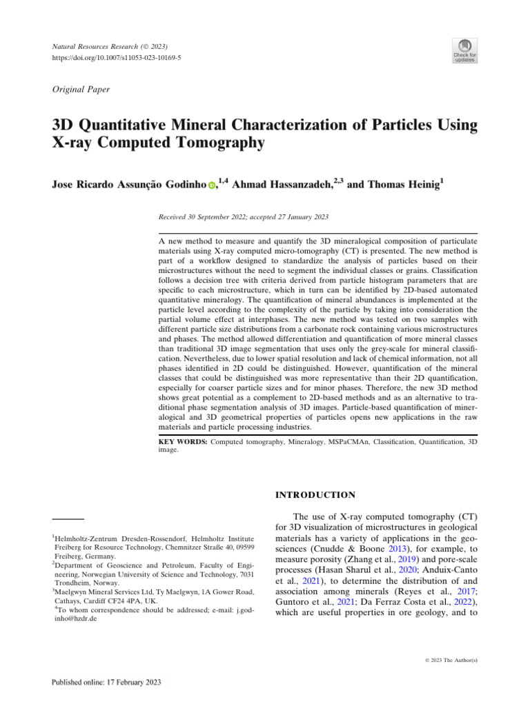 3D Quantitative Mineral Characterization of Particles Using X-Ray ...