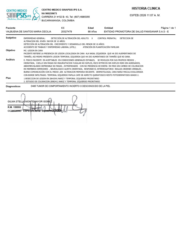 Consulta | PDF