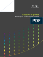 CBI - The Colour of Growth - Maximising The Potential of Green Business