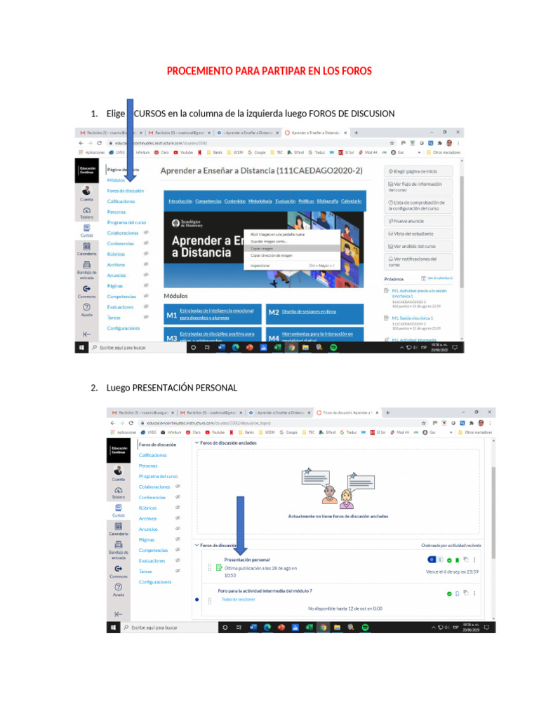 Procemiento Para Partipar en Los Foros-2 | PDF