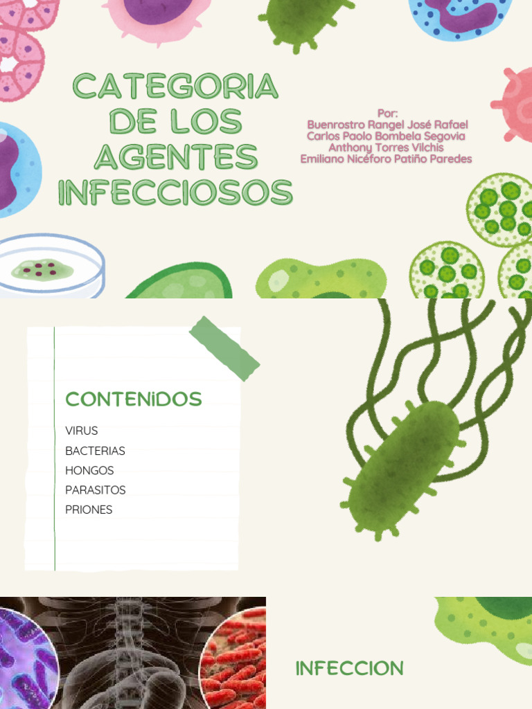 Clasificación de Los Agentes Infecciosos | PDF | Virus | Bacterias Gram ...