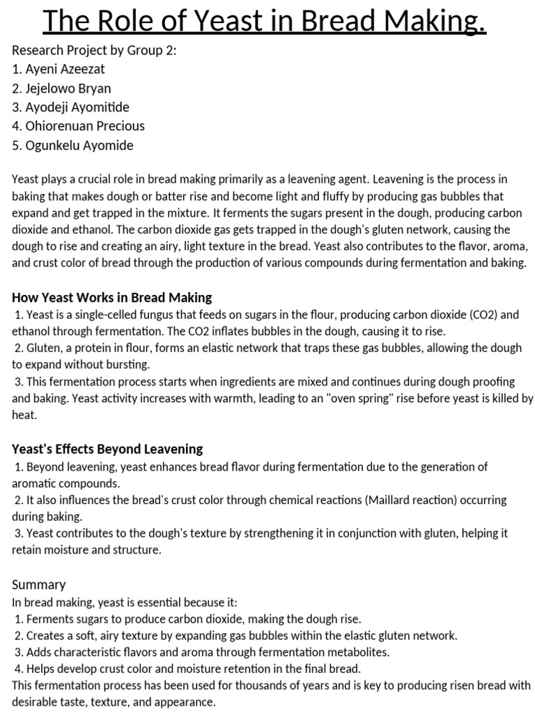 The Role of Yeast in Bread Making Research Project | PDF