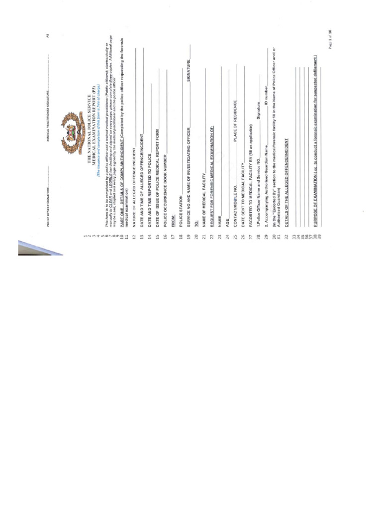 New P3 Form | PDF
