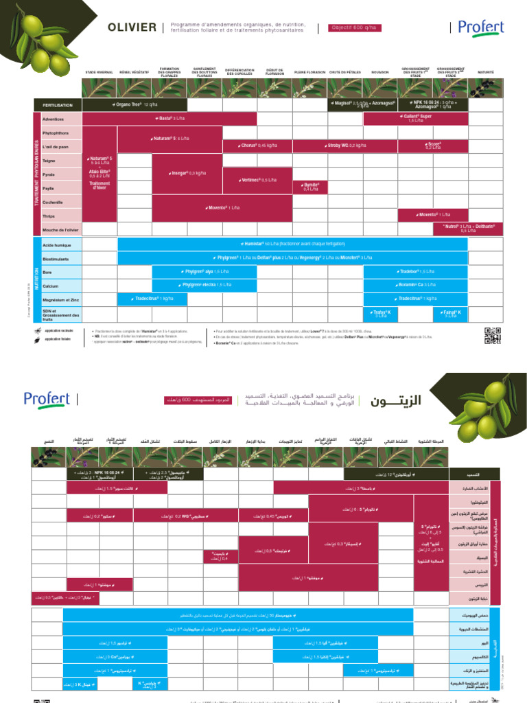 Crop Plan Olivier | PDF