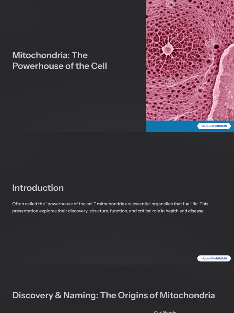 Mitochondria the Powerhouse of the Cell (1) | PDF | Mitochondrion ...