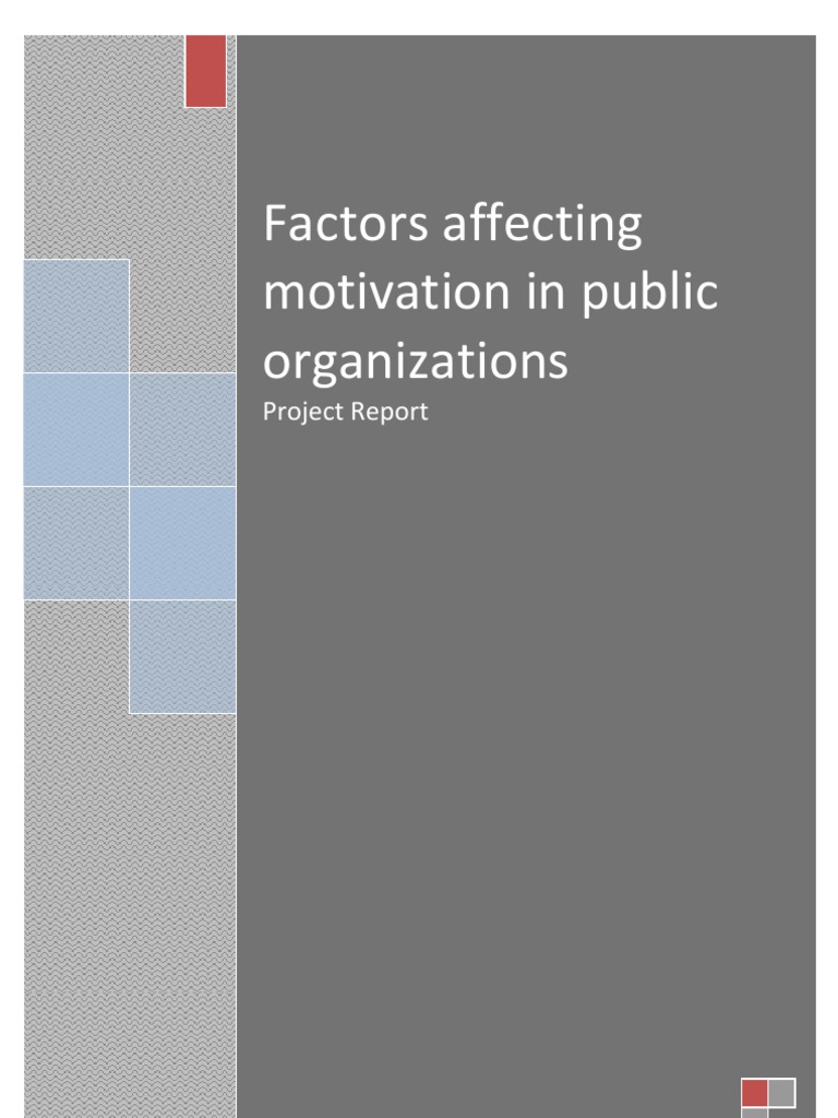 Factors Affecting Motivation in Public Organizations | PDF | Motivation ...
