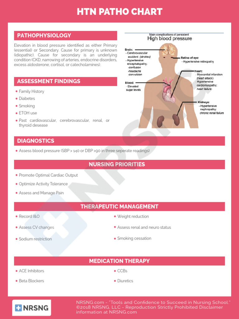 Cs Cardiac 041 HTN Patho Chart | PDF