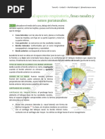 Anatomía Completa de la Nariz | PDF | Nariz humana | Anatomía