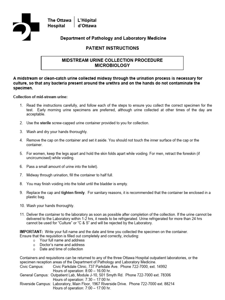 Document | PDF | Urination | Urinary System