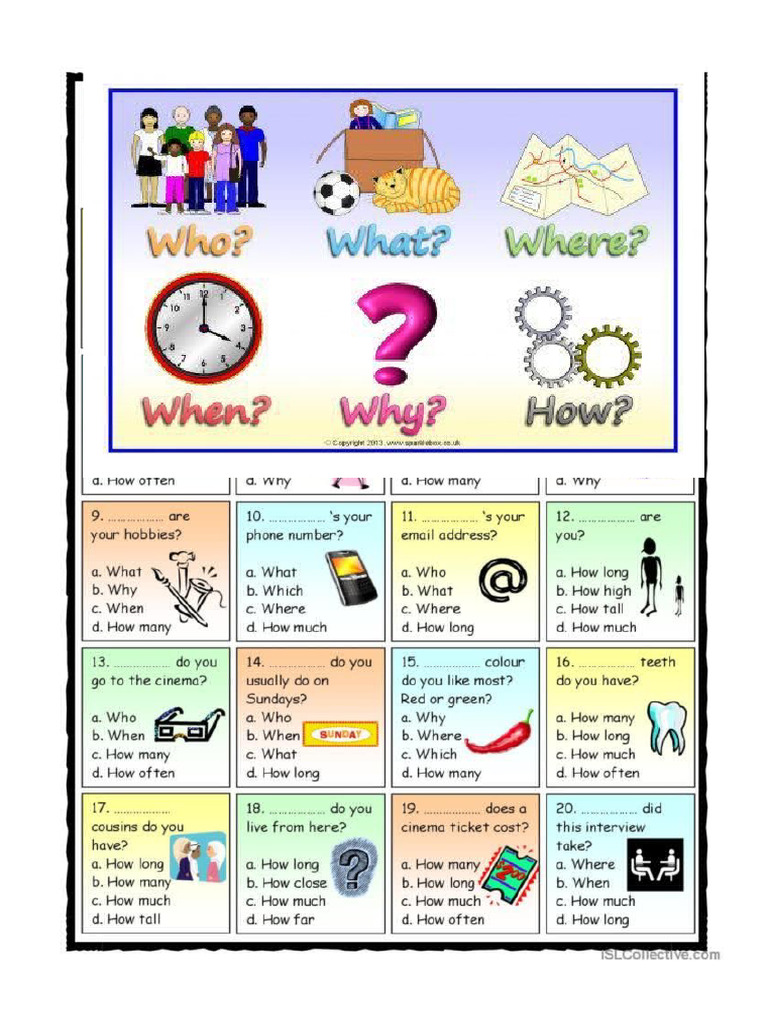 The W Questions | PDF
