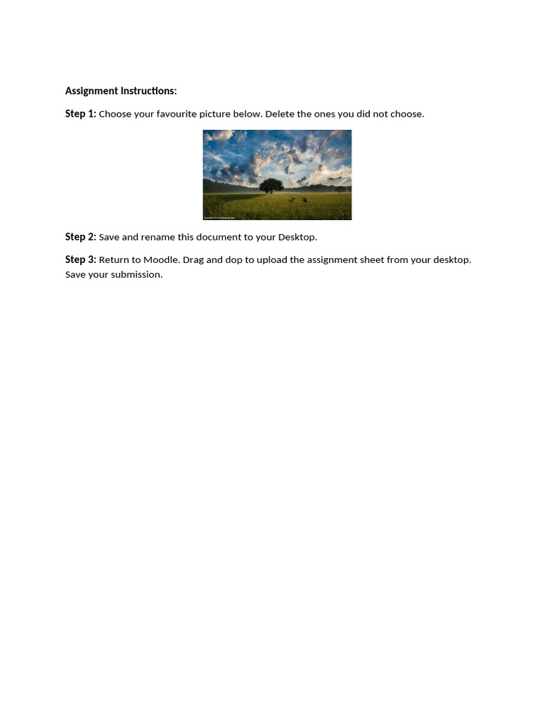 Assignment Sheet | PDF