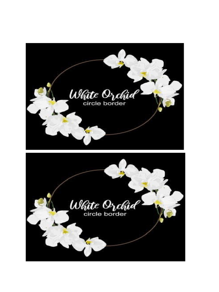Border Orkid Birthday | PDF