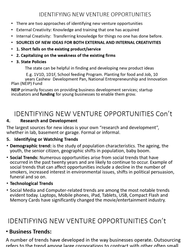 Identifying New Venture Opportunities | PDF