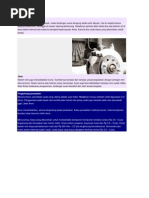 Download Power Steering by Dina Kurniawan SN99203290 doc pdf