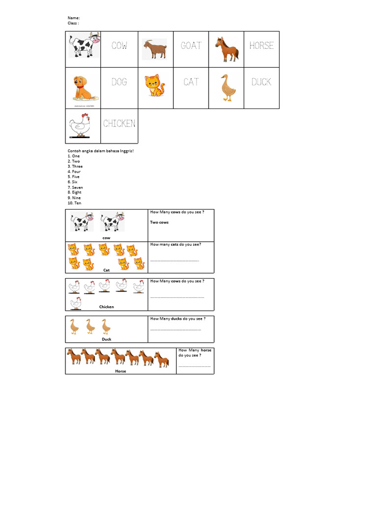 Animal Counting | PDF