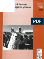 Manual de Practicas de Manejo de Llamas y Alpacas