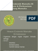 Hewan Endemik Mamalia Di Indonesia&Perkawinan Silang Mamalia