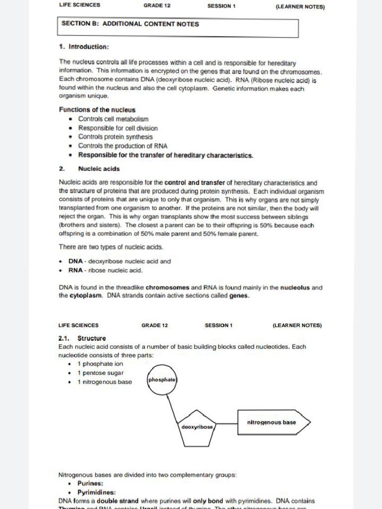 DNA Code of Life Notes | PDF
