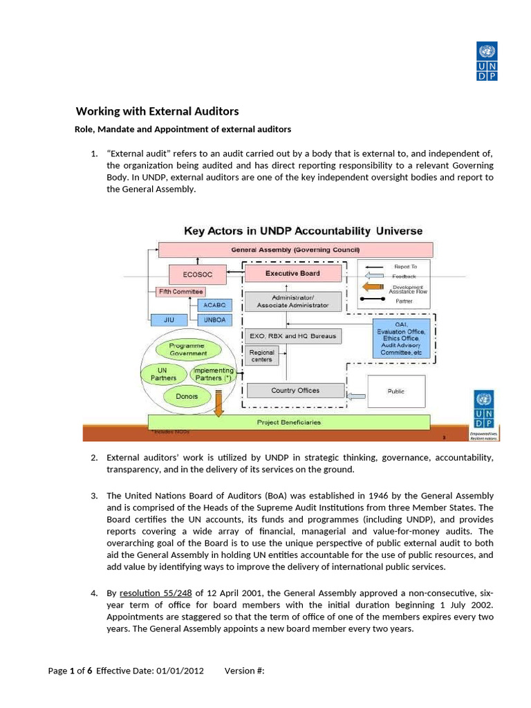 FRM - Working With External Auditors | PDF | Audit | United Nations ...