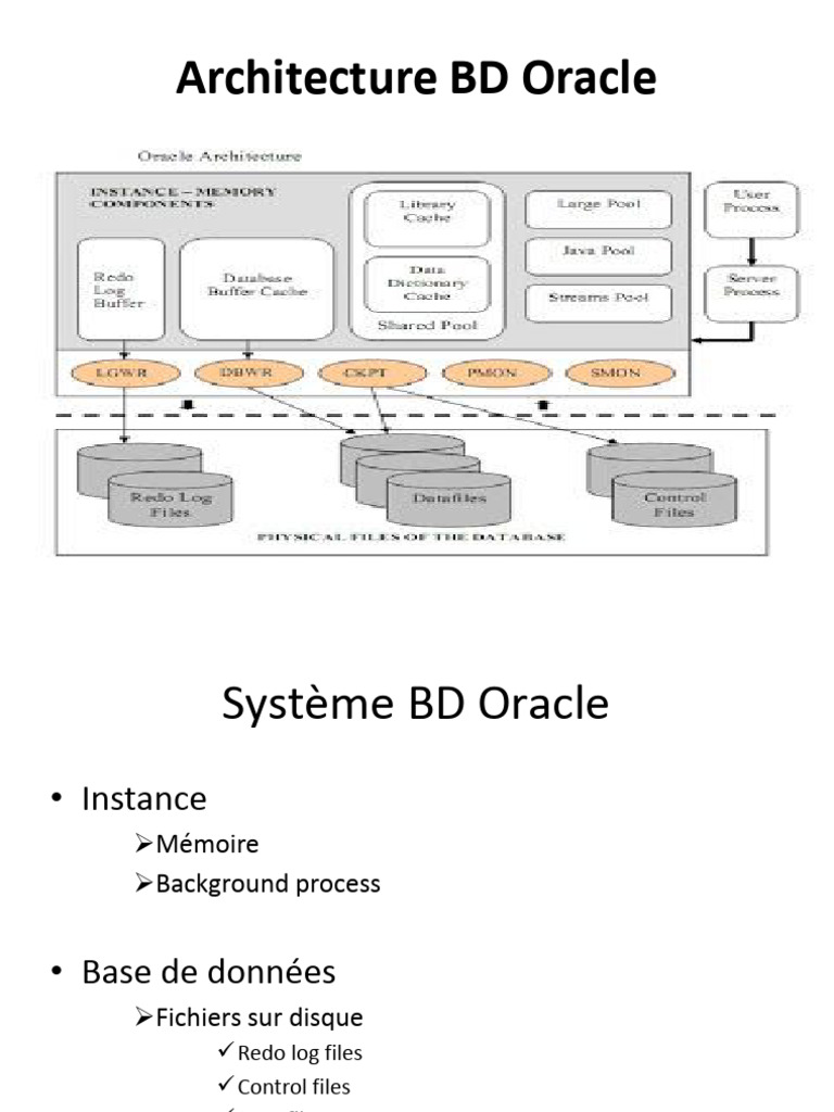 Activité 2.2 Architecture BD Oracle - Part 2 | PDF | Base de données ...
