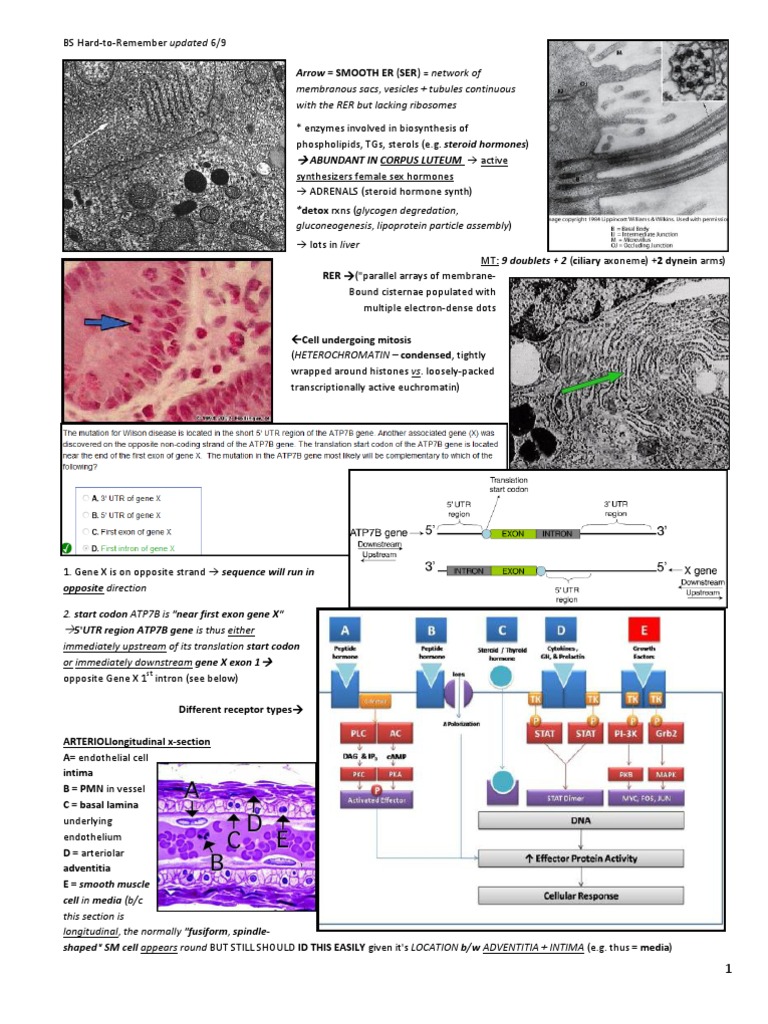 Basic Science Quick Facts Step1 PDF Collagen Allele