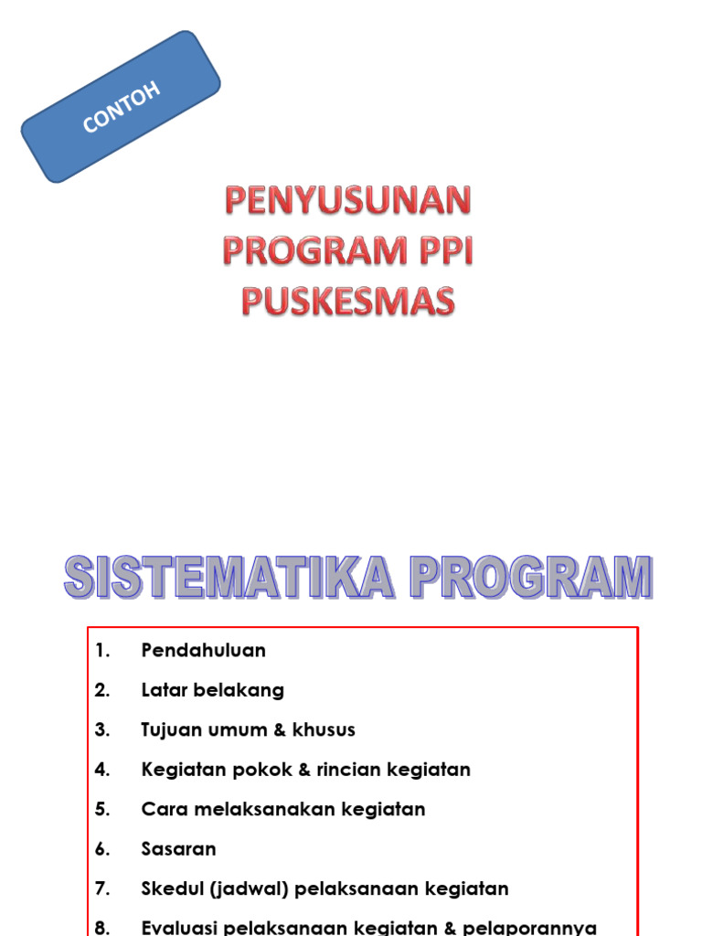 Program PPI Puskesmas - Baru | PDF