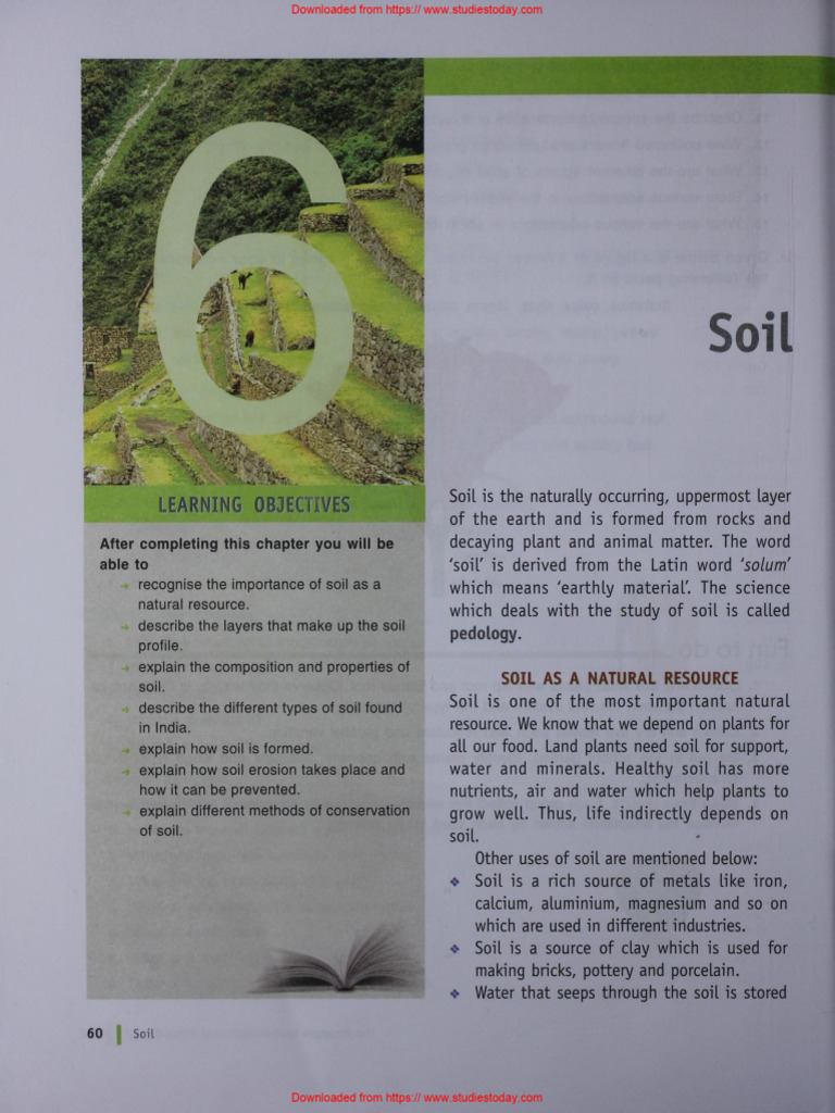 ICSE Class 6 Biology Chapter 6 Soil | PDF